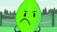 a green leaf with an angry face is standing in front of a fence .