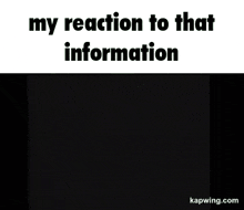 My Reaction To That Information My Honest Reaction GIF - My Reaction To That Information Reaction My Honest Reaction GIFs