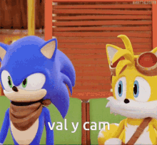 val y cam cam y val sonic y tails sonic the hedgehog tails sonic