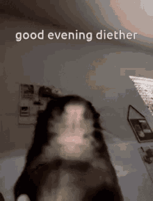 Diether Good Evening GIF - Diether Good Evening GIFs