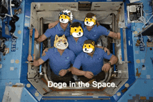 Doge Dogc GIF - Doge Dogc X GIFs