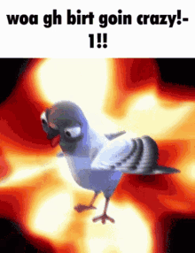GIF