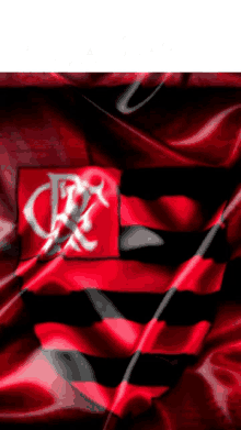 Flasmo Flamengo GIF