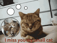 Missing You I Miss You GIF - Missing You I Miss You Miss You GIFs