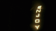 a neon sign that says enjoy is lit up at night