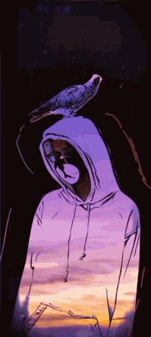 a person wearing a hoodie with a bird on their head