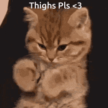 Thighs Slush GIF - Thighs Slush Give GIFs