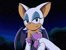 Sonic X Sonic X Rouge GIF - Sonic X Sonic X Rouge Rouge The Bat GIFs