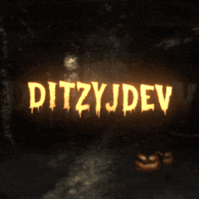 a sign that says ditzyjdev in the dark