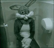 Rabbit Bunny GIF - Rabbit Bunny Costume GIFs