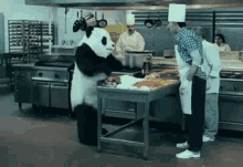 Bitch Panda GIF - Bitch Panda Cooking GIFs