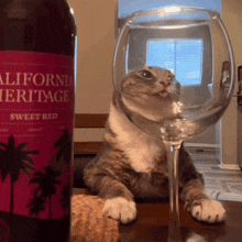 a bottle of california heritage sweet red wine sits next to a cat