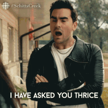 I Have Asked You Thrice Now For A Towel David GIF - I Have Asked You Thrice Now For A Towel David Dan Levy GIFs