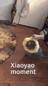 a cat wearing a yellow flower collar is being petted by someone .