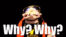 a puppet wearing sunglasses and a red jacket says why why