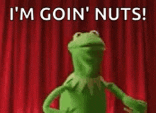 kermit the frog is standing in front of a red curtain and saying `` i 'm goin ' nuts '' .