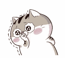 amicat1 shy blushing whoa amicat1 shy blushing whoa