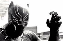 Panther Marvel GIF - Panther Marvel Civil War GIFs