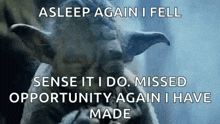 a picture of yoda with the words `` asleep again i fell sense it i do . missed opportunity again i have made ''