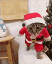 Santa Kitty GIF - Santa Kitty Merry GIFs