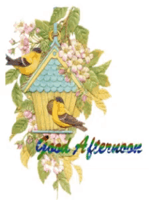 Good Afternoon Bird House GIF - Good Afternoon Bird House GIFs