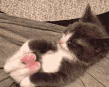 Stretch Cat GIF - Stretch Cat Iujaes GIFs
