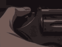 a close up of a person holding a smith & wesson gun