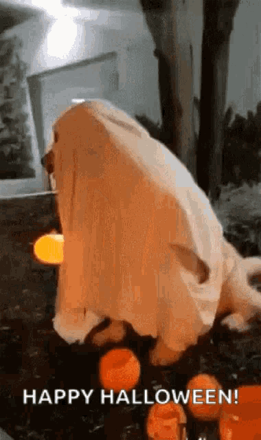 Happy Halloween GIF - Happy Halloween Happy Halloween GIFs