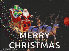 Merry Xmas GIF - Merry Xmas Funny GIFs