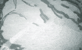 a shadow of a person is cast on a white surface .