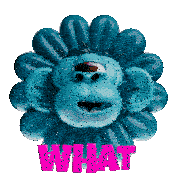 a blue flower with a monkey face and the word what above it