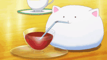 tea sip drink cat anime