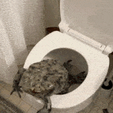 Xiukaism Toilet GIF - Xiukaism Toilet Frog GIFs
