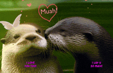 Badger Couple Kiss GIF - Badger Couple Kiss I Love You GIFs