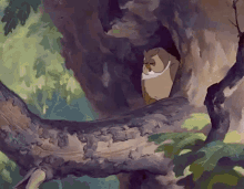 Owl What Now GIF - Owl What Now Now What GIFs