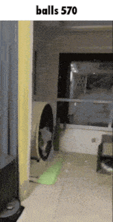 a dog is sitting in a washing machine with the words `` balls 570 '' above it .
