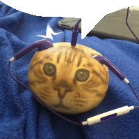 a cat shaped ear bud with purple ear buds attached to it