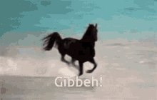 Gibby Horse GIF - Gibby Horse GIFs