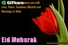 Eid Mubarak Gifkaro GIF - Eid Mubarak Gifkaro May Allah Bless You GIFs