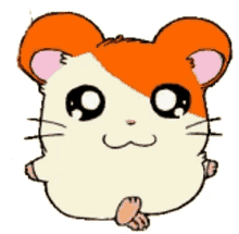 hamtaro hamster