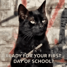 First Day GIF - First Day Of GIFs