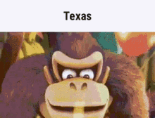 Texas Texas Snow GIF - Texas Texas Snow Donkey Kong GIFs
