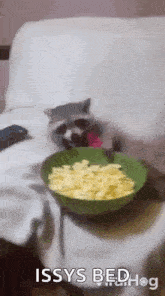 a cat is sitting on a couch with a bowl of food .
