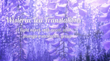 wisteria wisteria tea translations