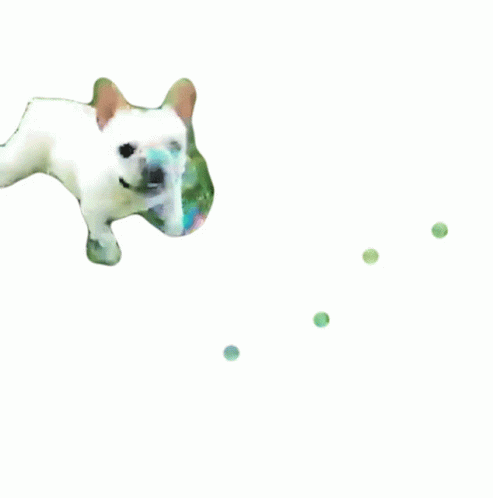 Catch The Bubbles The Pet Collective Sticker - Catch The Bubbles The Pet  Collective Bubbles - Discover & Share GIFs
