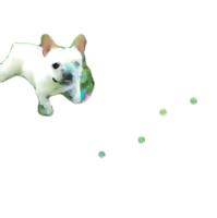 Catch The Bubbles The Pet Collective Sticker