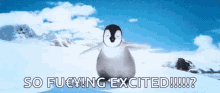 Happyfeet Penguin GIF