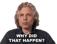 why did that happen steven pinker big think please explain why is this happening