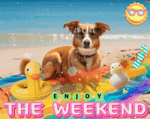 a dog wearing sunglasses is laying on a beach with the words enjoy the weekend