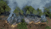 an aerial view of a forest fire with smoke coming from the trees